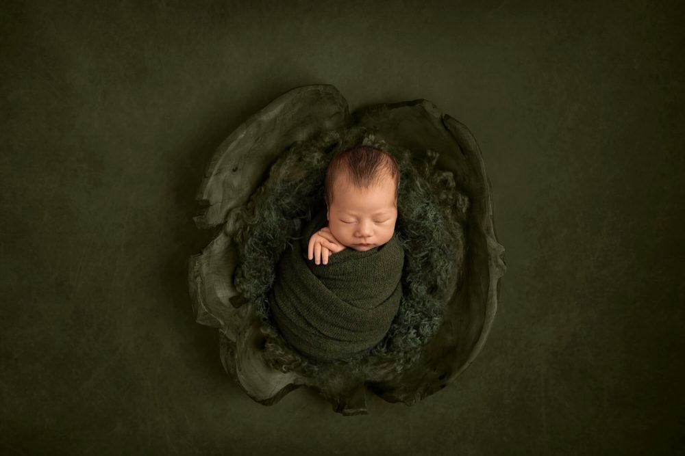 Chicagoland newborn photographer, best newborn photography Chicago, newborn portraits Chicago