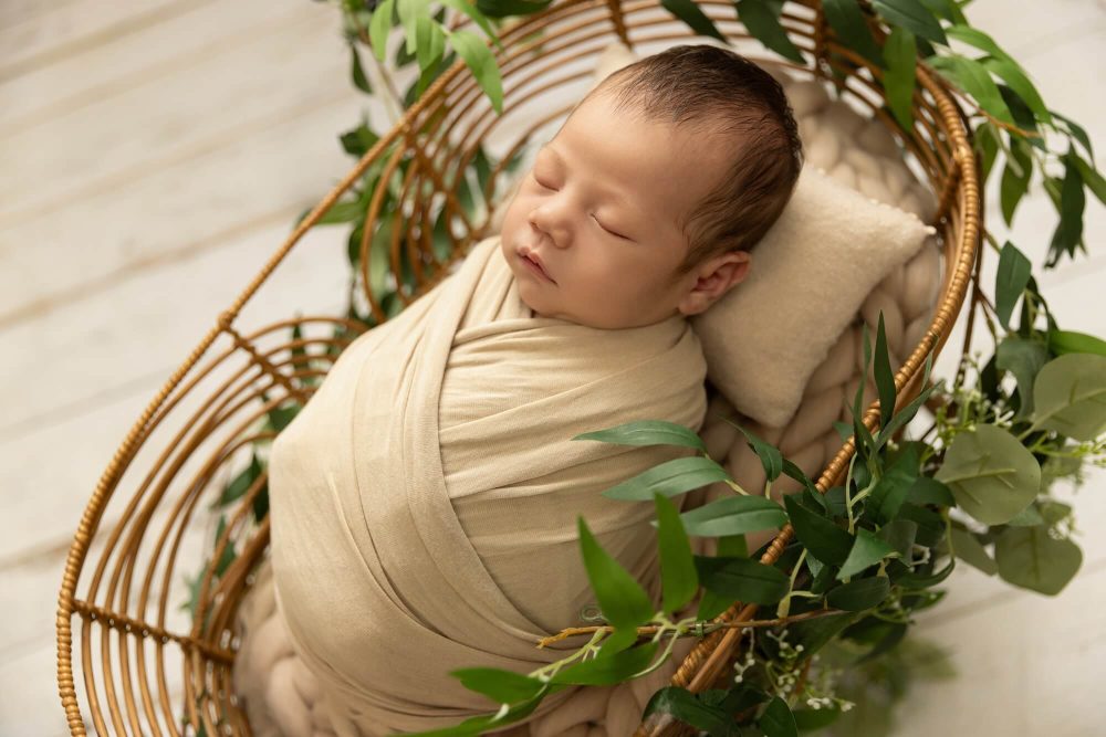 Chicagoland newborn photographer, best newborn photography Chicago, newborn portraits Chicago