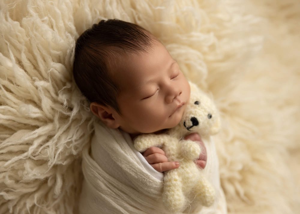 Chicagoland newborn photographer, best newborn photography Chicago, newborn portraits Chicago