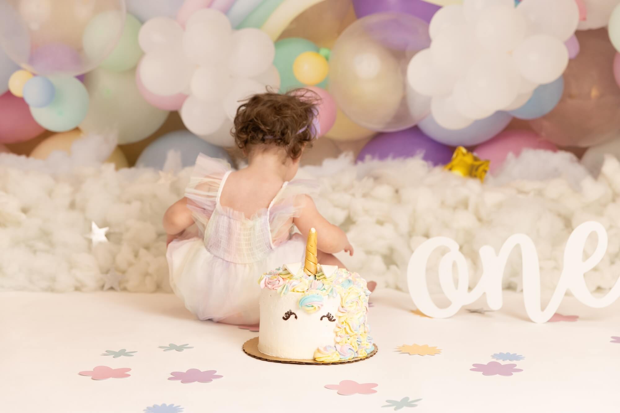 best cake smash photographer Chicago, baby birthday photoshoot Chicagoland 3526 Edit