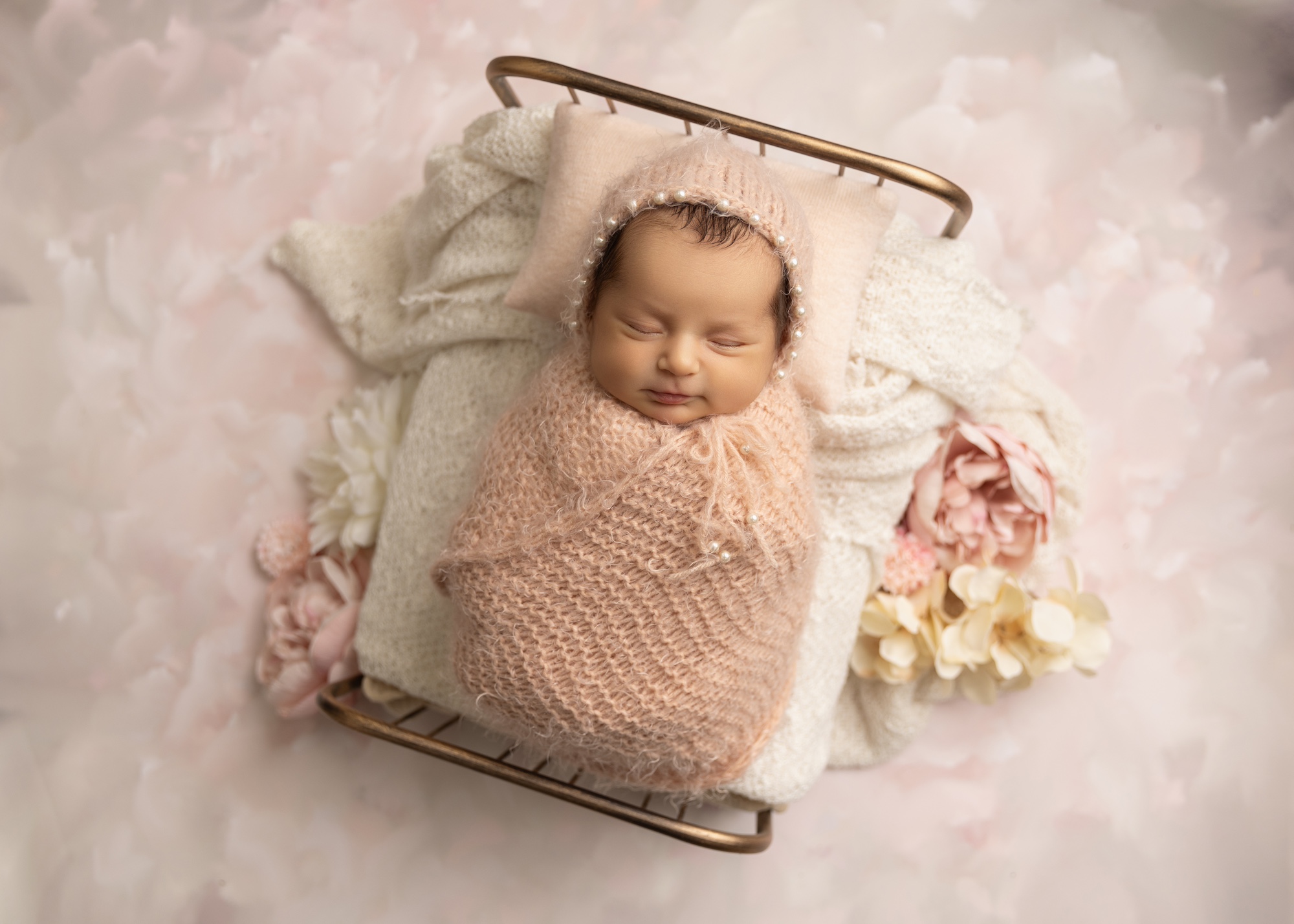 Lincoln Park newborn portraits, newborn photographer near me Chicago