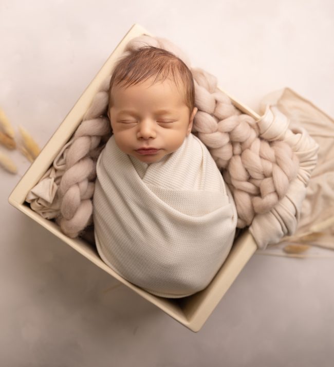 the best Chicagoland newborn photographer, newborn portraits Lincoln Park IL, newborn photoshoot near me