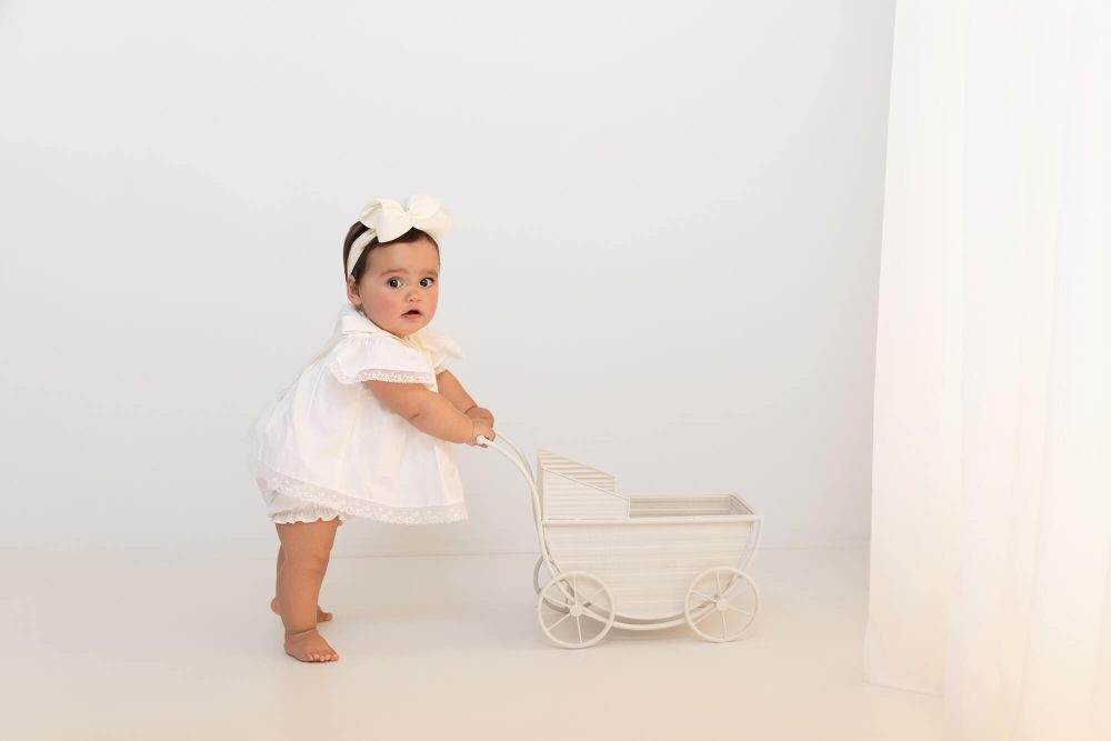 Glencoe IL cake smash photographer, cake smash portraits, baby photography Chicago
