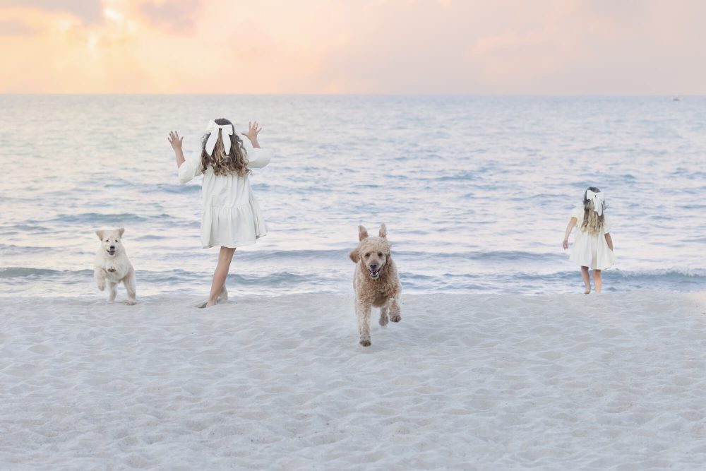 best Chicago family photographer, family portraits near me
