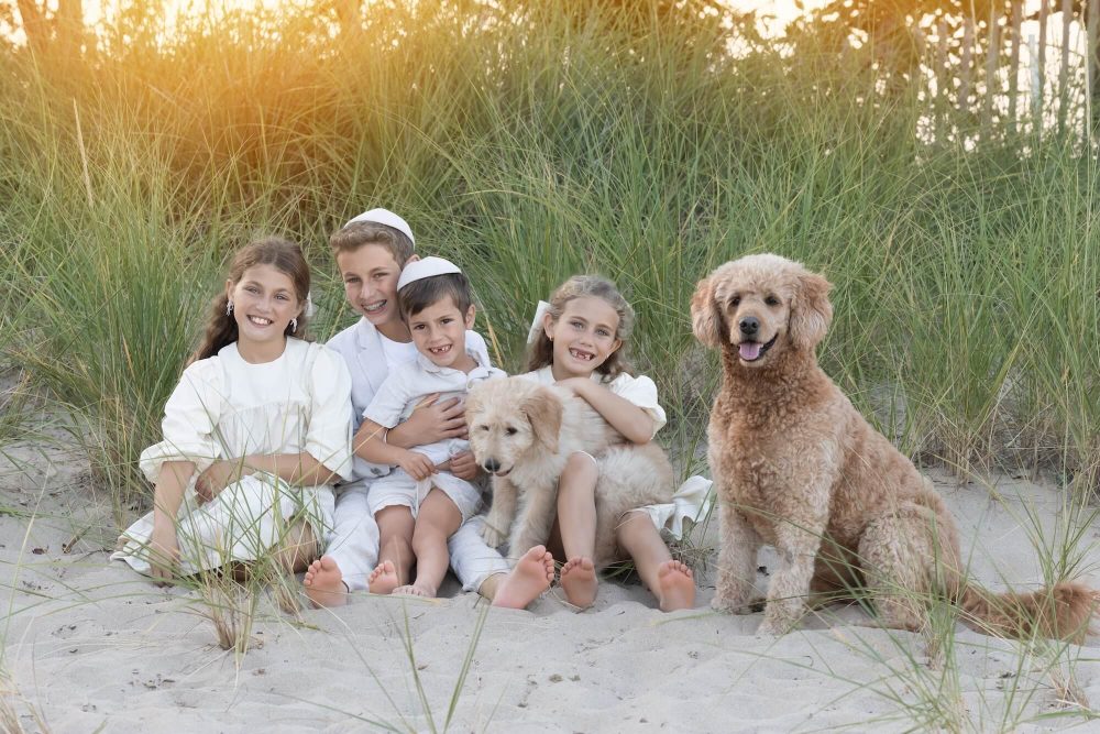 best Chicago family photographer, family portraits near me