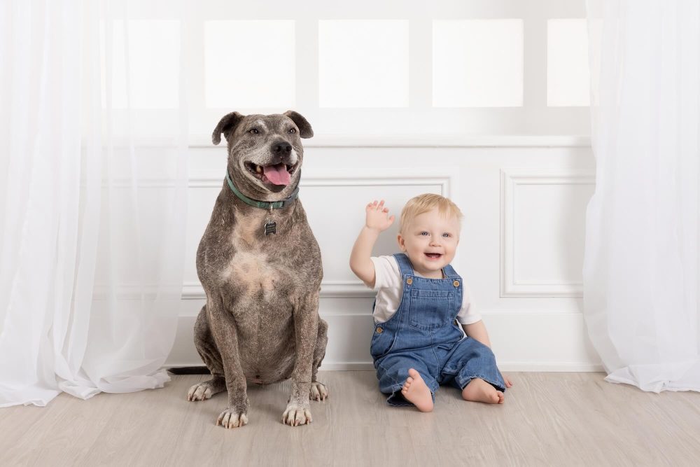 Chicago cake smash photography, family portrait studio near me, Skokie family photographer